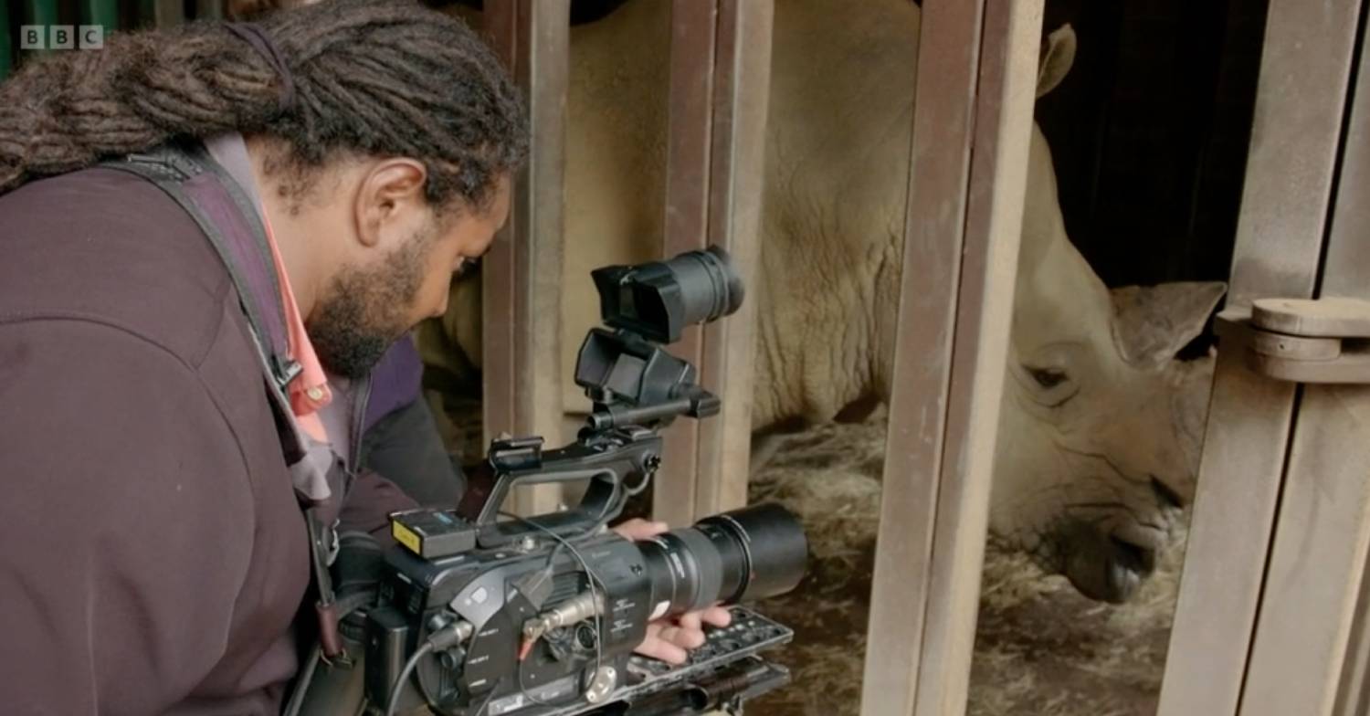 Strictly 2022 star Hamza Yassin gets close to a rhino on Animal Park