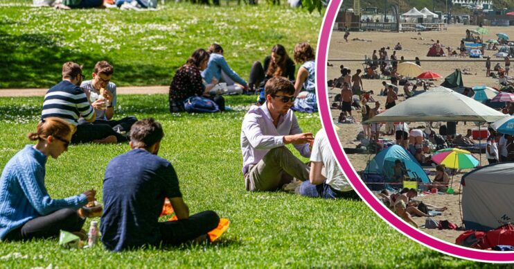 People sat in the sun during UK weather heatwave