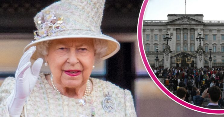 The Queen waves during engagement and Buckingham Palace