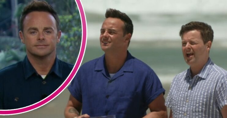 Ant McPartlin and Dec Donnelly on I'm A Celebrity