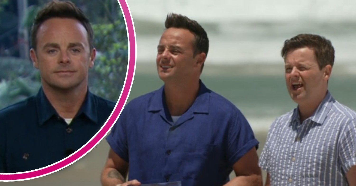 Ant McPartlin and Dec Donnelly on I'm A Celebrity