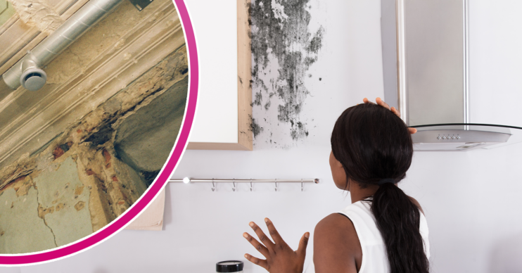 Woman looking at mould in her kitchen