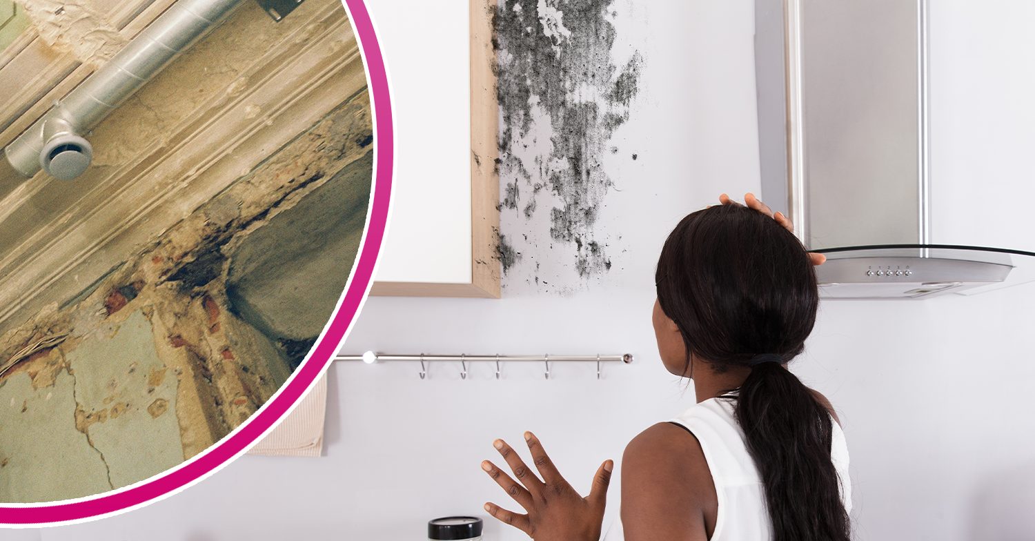 Woman looking at mould in her kitchen