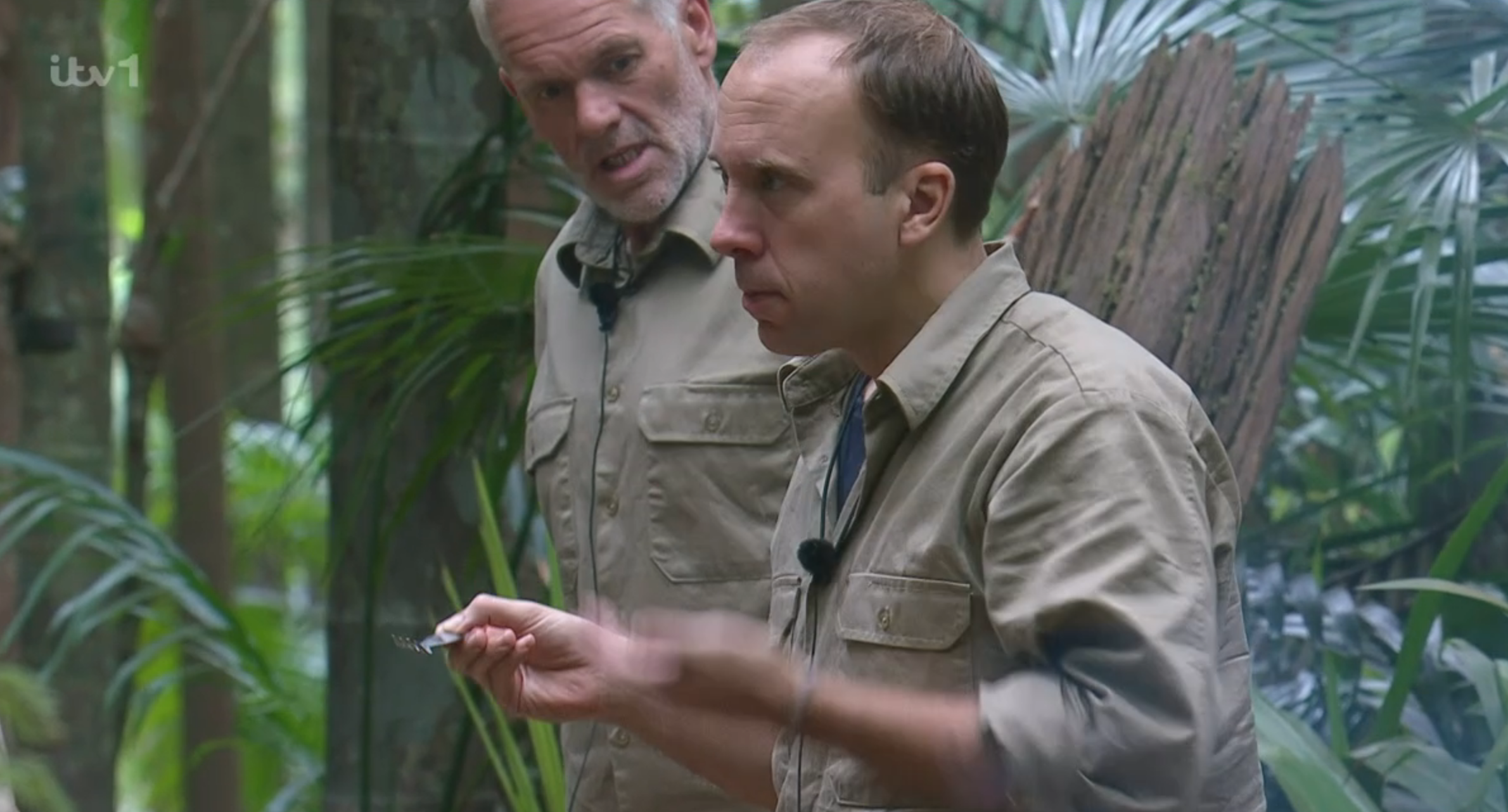 I'm A Celebrity star Matt Hancock in the jungle