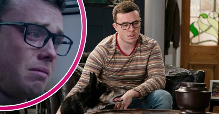 Vinny looking sad with Chip the dog - inset, in a bubble, crying (Credit ITV/Composite: Entertainment Daily!)