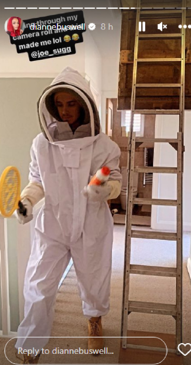 A photo of Joe Sugg in bee suit on Dianne Buswell Instagram