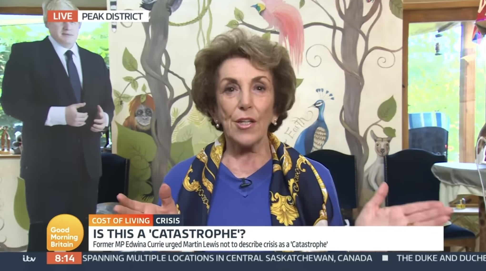 I'm A Celebrity star Edwina Currie on GMB 