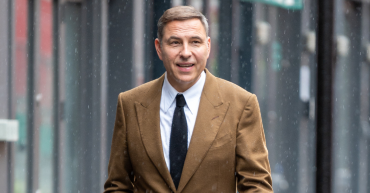 David Walliams walking in the street wearing a brown suit