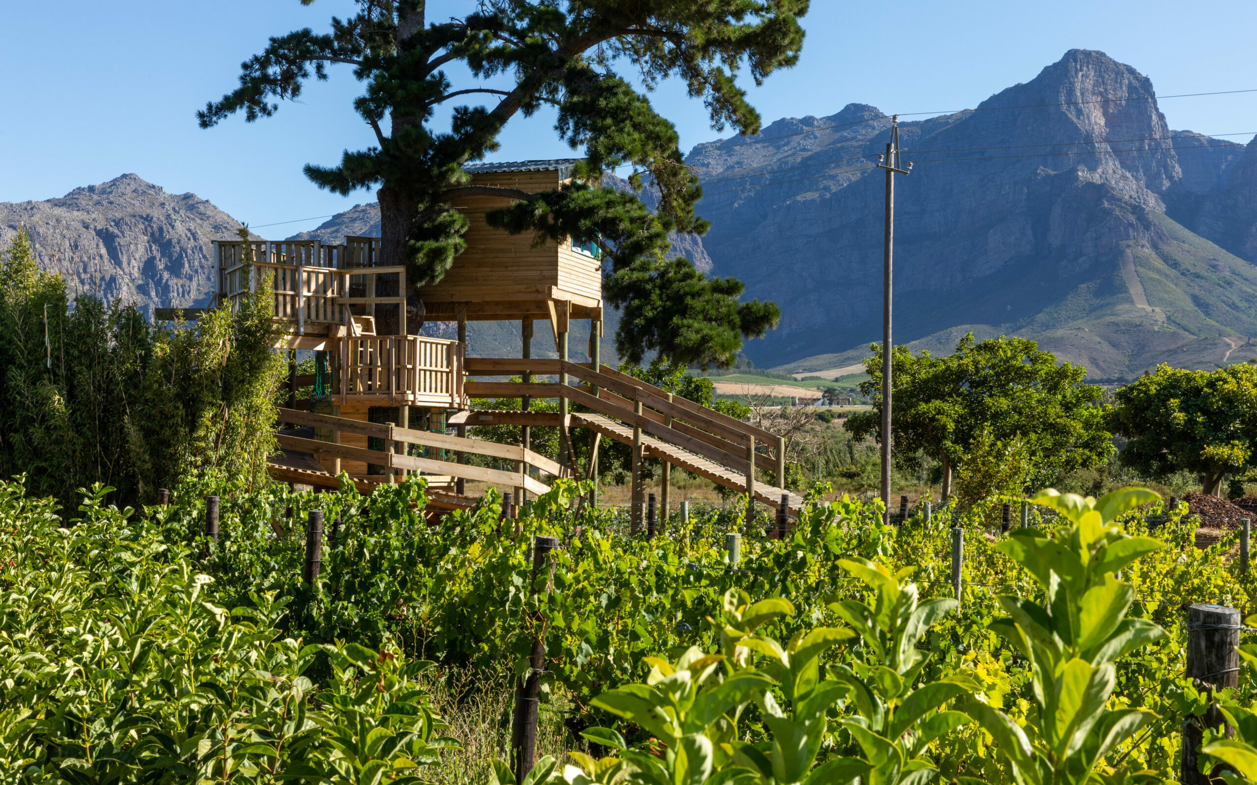 Treehouse in the Love Island 2023 villa