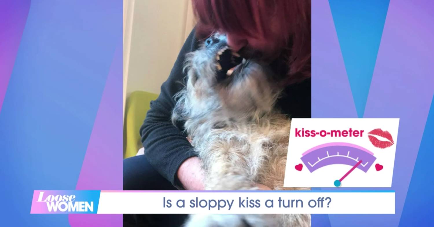 Badger snuggles up to Janet in image shown on Loose Women today