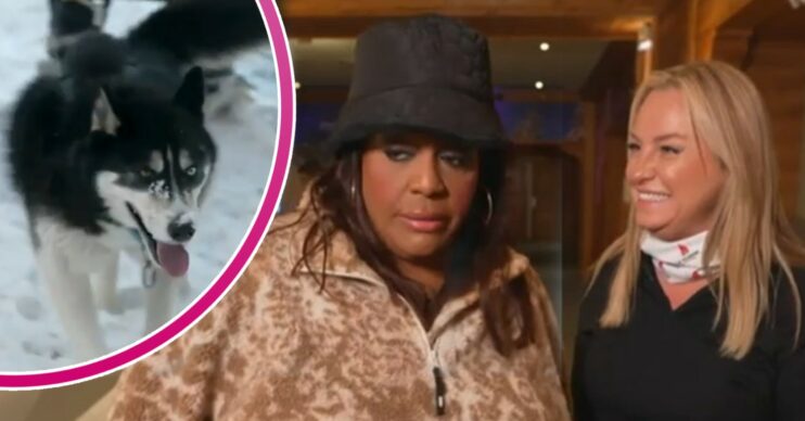 Alison Hammond, Josie Gibson with husky for This Morning