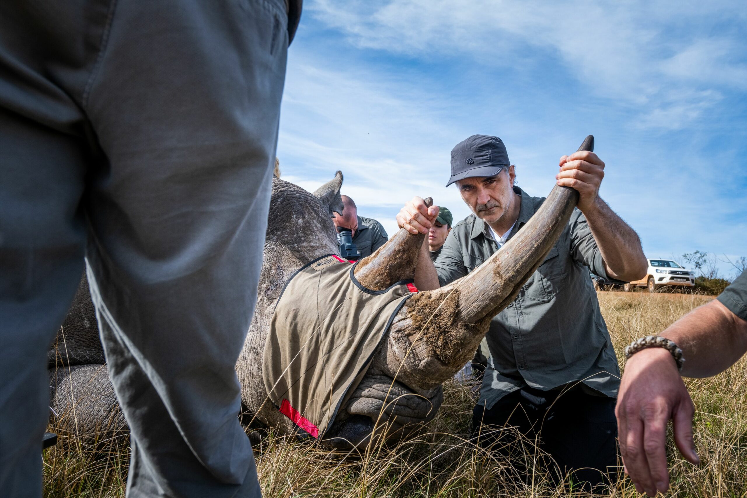 Supervet Noel Fitzpatrick on safari