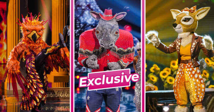 Phoenix, Rhino and Fawn in The Masked Singer 2023