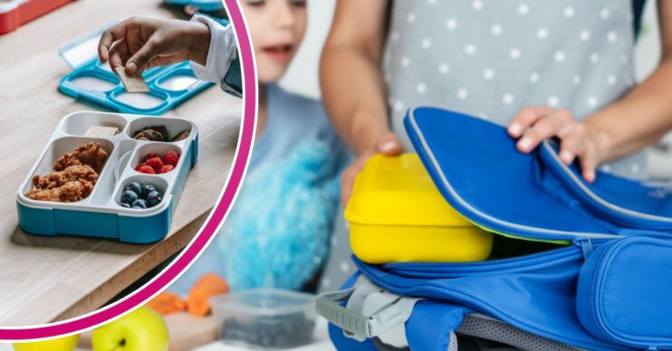Woman putting school packed lunch in bag