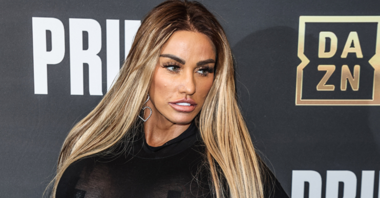 Katie Price wearing her long hair down on the red carpet