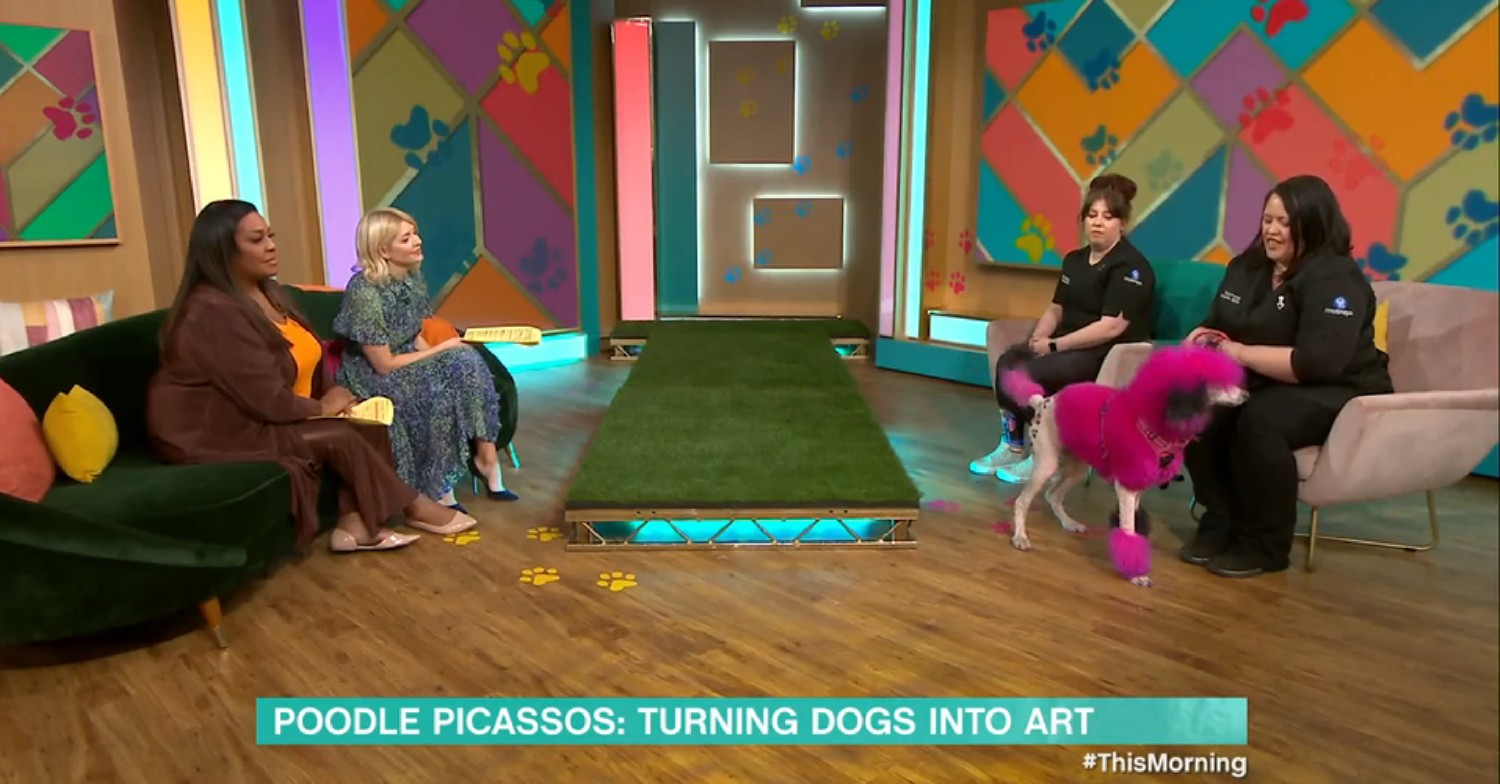 Alison Hammond and Holly Willoughby speaking to guests with their colourful dog