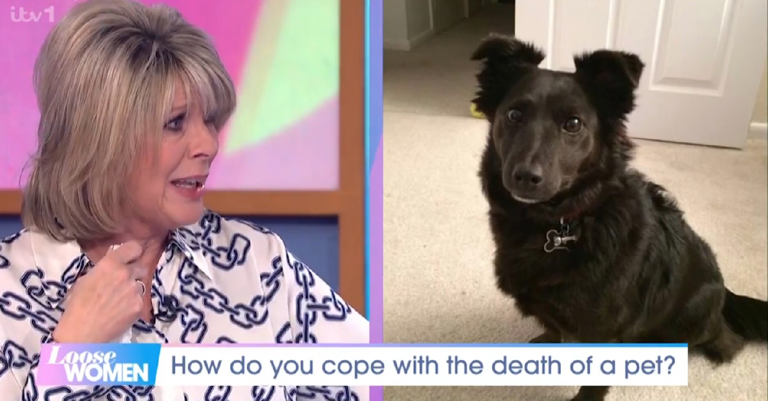 Ruth Langsford crying / Maggie the dog / Loose Women today