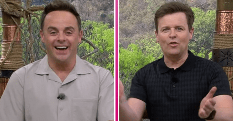 Ant and Dec hosting I'm A Celebrity