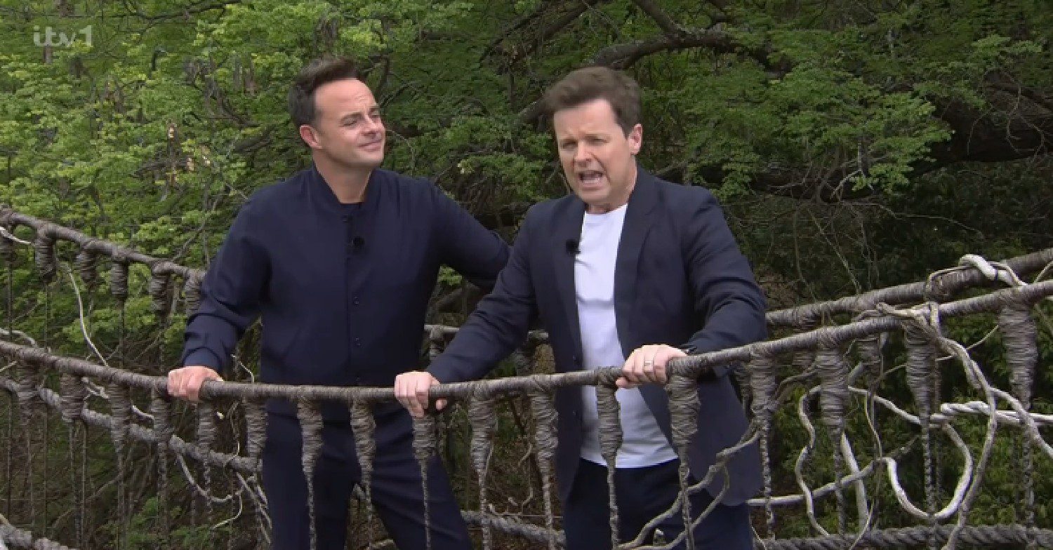 Ant and Dec hosting I'm A Celebrity... South Africa