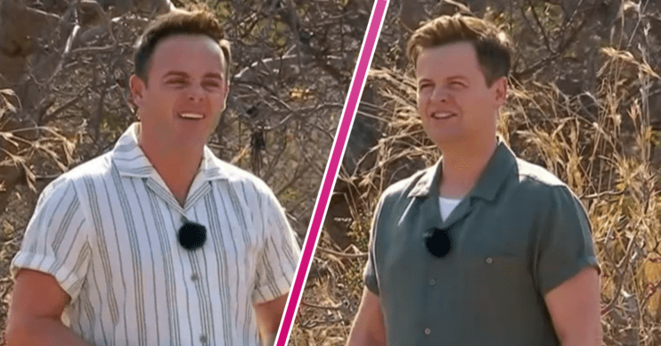Ant and Dec in the I'm A Celebrity jungle