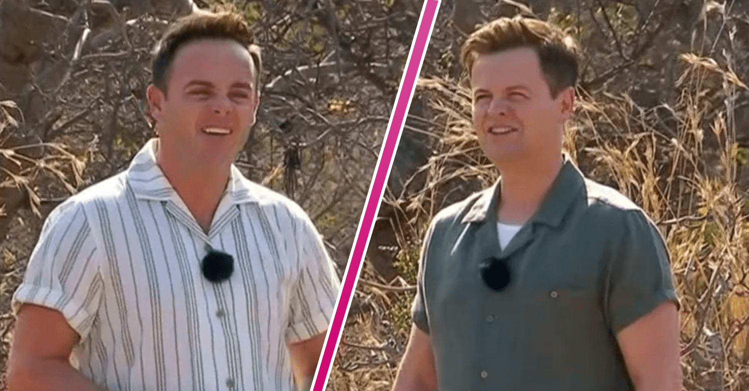 Ant and Dec in the I'm A Celebrity jungle