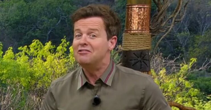 Dec Donnelly on I'm A Celeb with Ant McPartlin