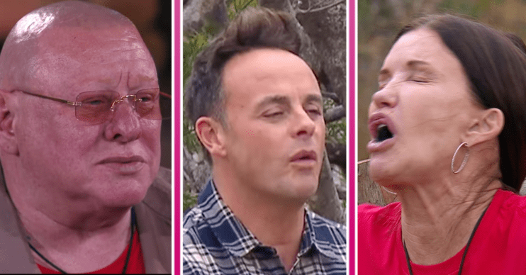 Shaun Ryder, Ant McPartlin and Janice Dickinson