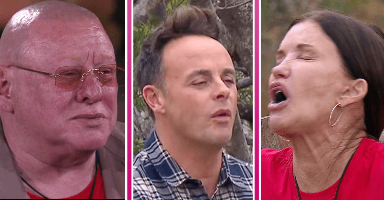 Shaun Ryder, Ant McPartlin and Janice Dickinson