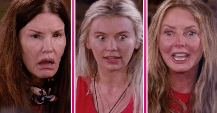 I'm A Celebrity campmates looking shocked