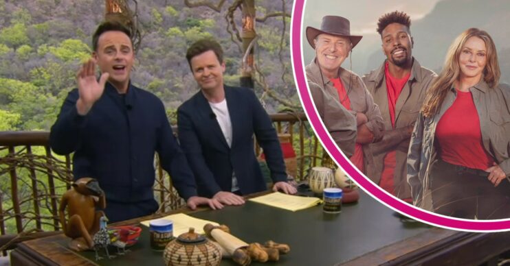 Ant and Dec and campmates on I'm A Celebrity South Africa