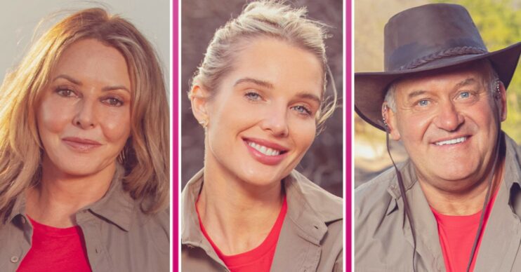 I'm A Celebrity... South Africa