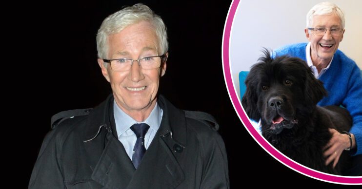 Paul O'Grady poses with dogs on For the Love of Dogs