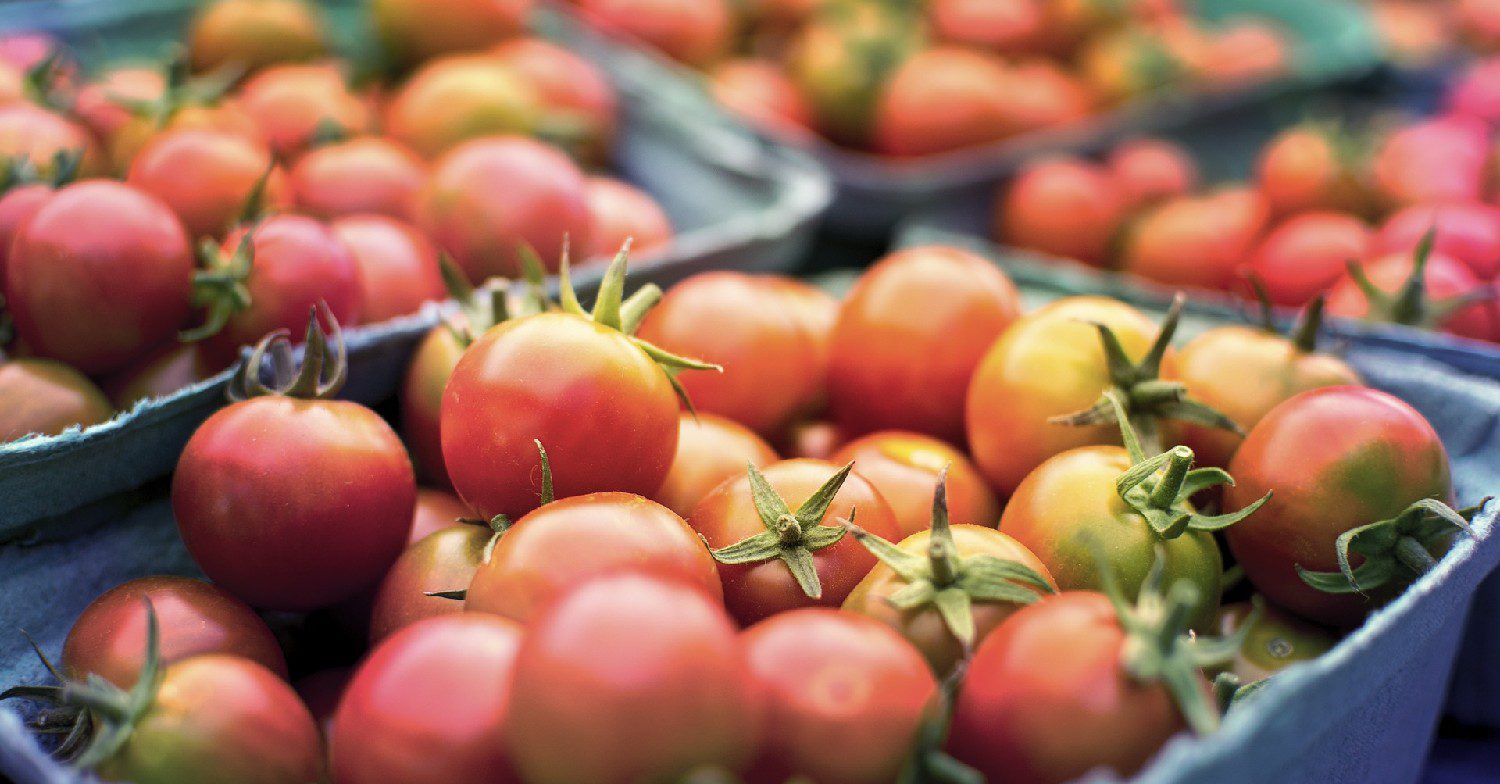 Tomatoes 