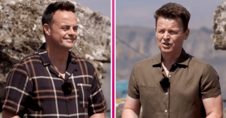Ant and Dec in South Africa on I'm A Celebrity