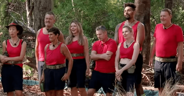 The I'm A Celebrity campmates lined up