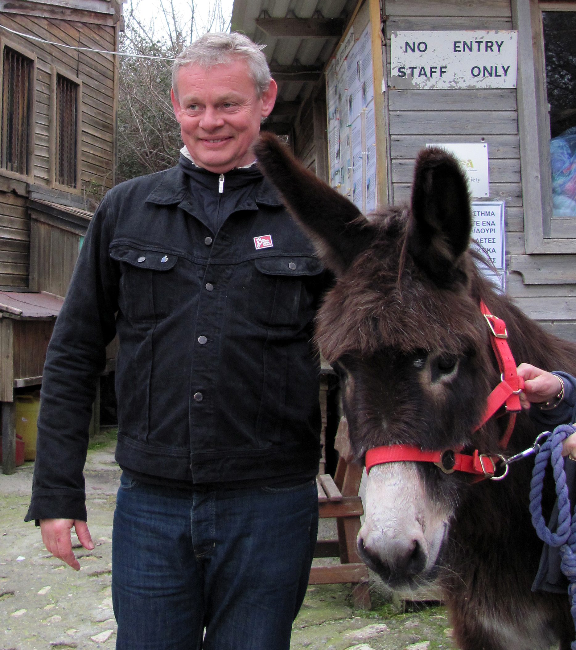 Martin Clunes smiles with donkey