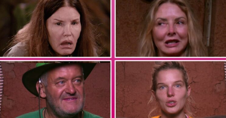 10 reasons why I'm A Celebrity... South Africa is the best thing on TV right now