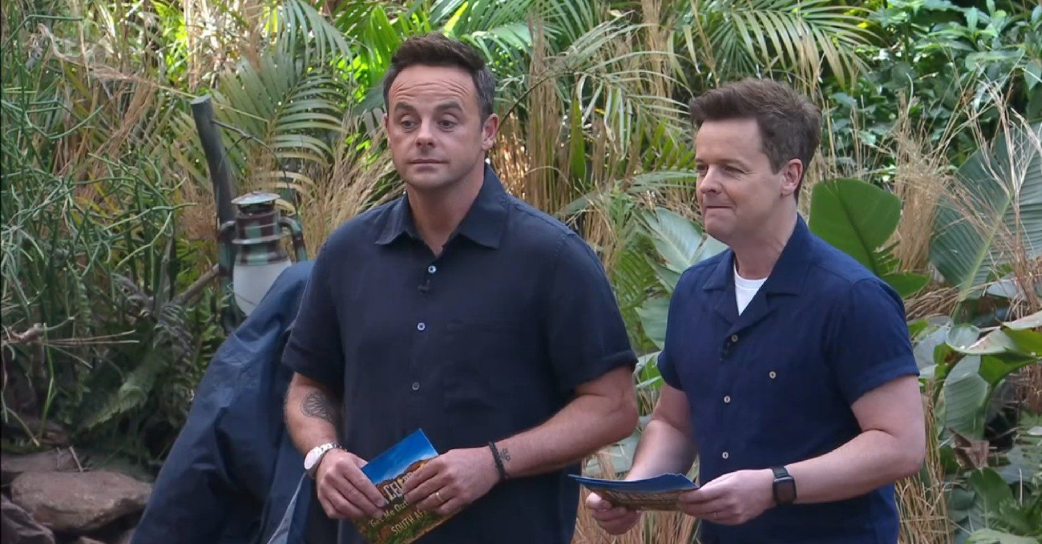 Ant and Dec on I'm A Celebrity... South Africa