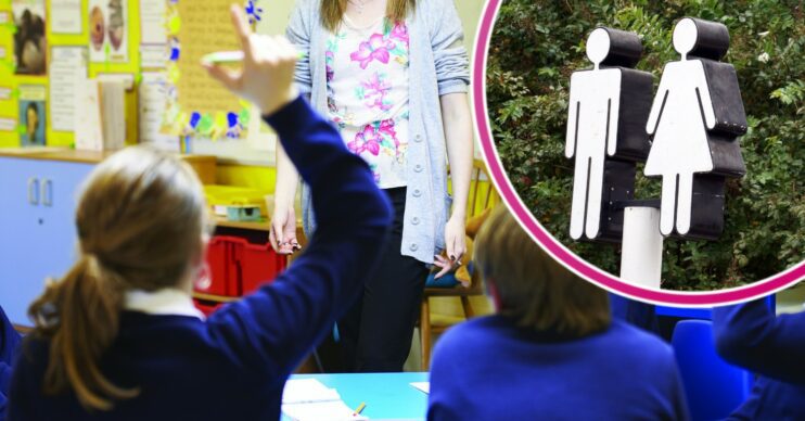 Student holding up their hand at school
