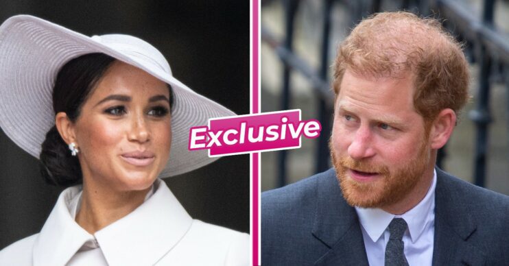 Meghan Markle and Prince Harry