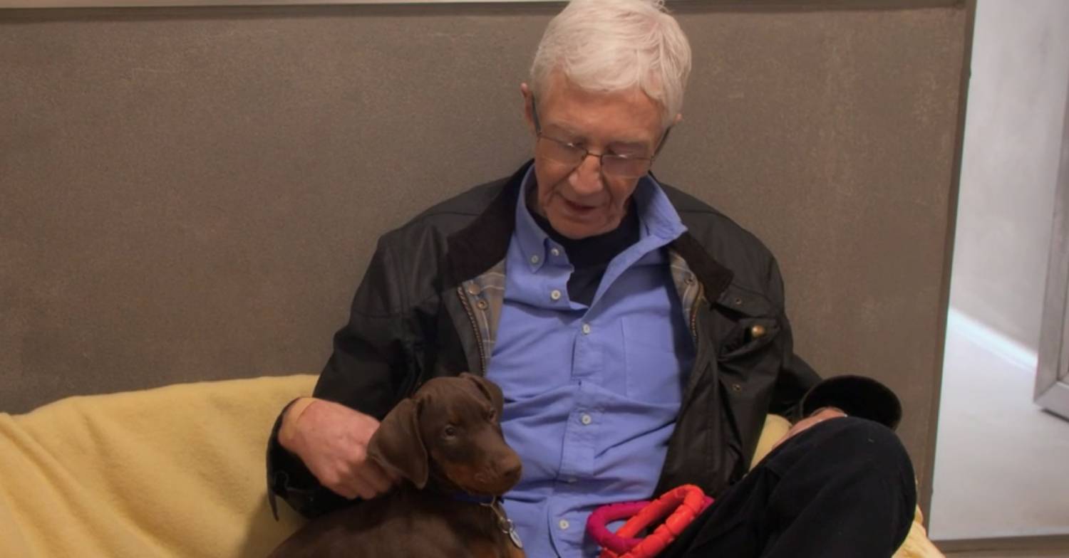 Paul O'Grady strokes a puppy