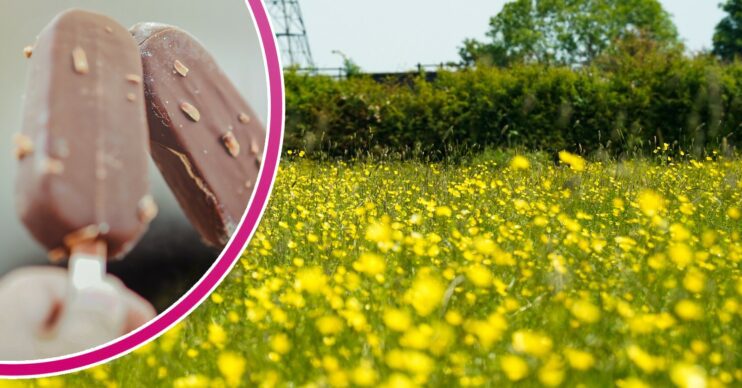 Ice lollies and sunny UK weather during heatwave