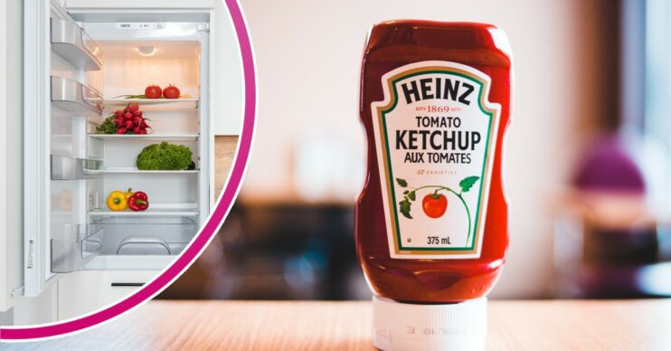 Fridge / Heinz Ketchup