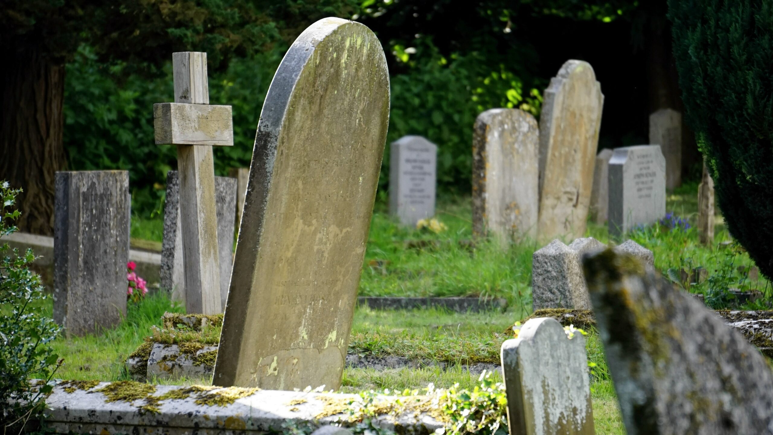 Tombstones in a graveyard
