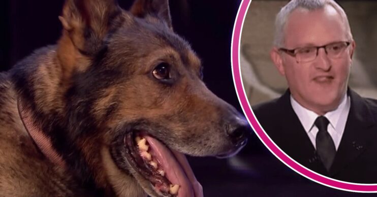 Britain's Got Talent police dog Finn and his owner Dave comp image