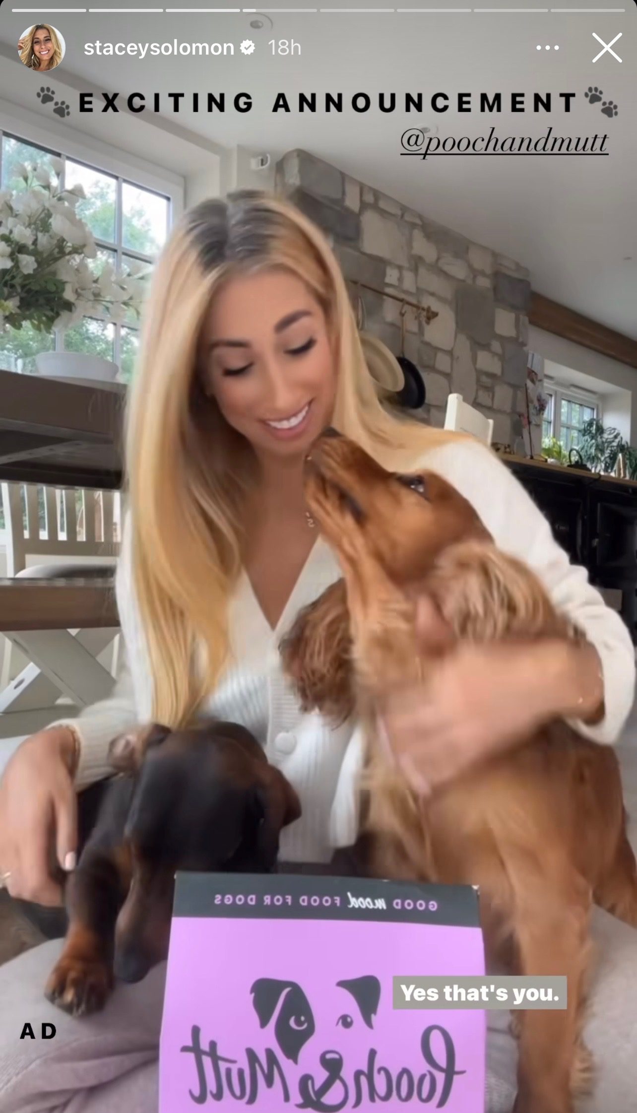 Stacey Solomon smiling with her dugs during an Instagram video