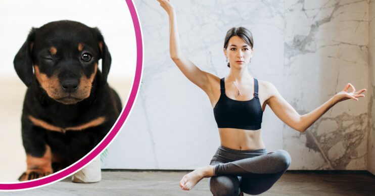 Puppy / woman doing yoga