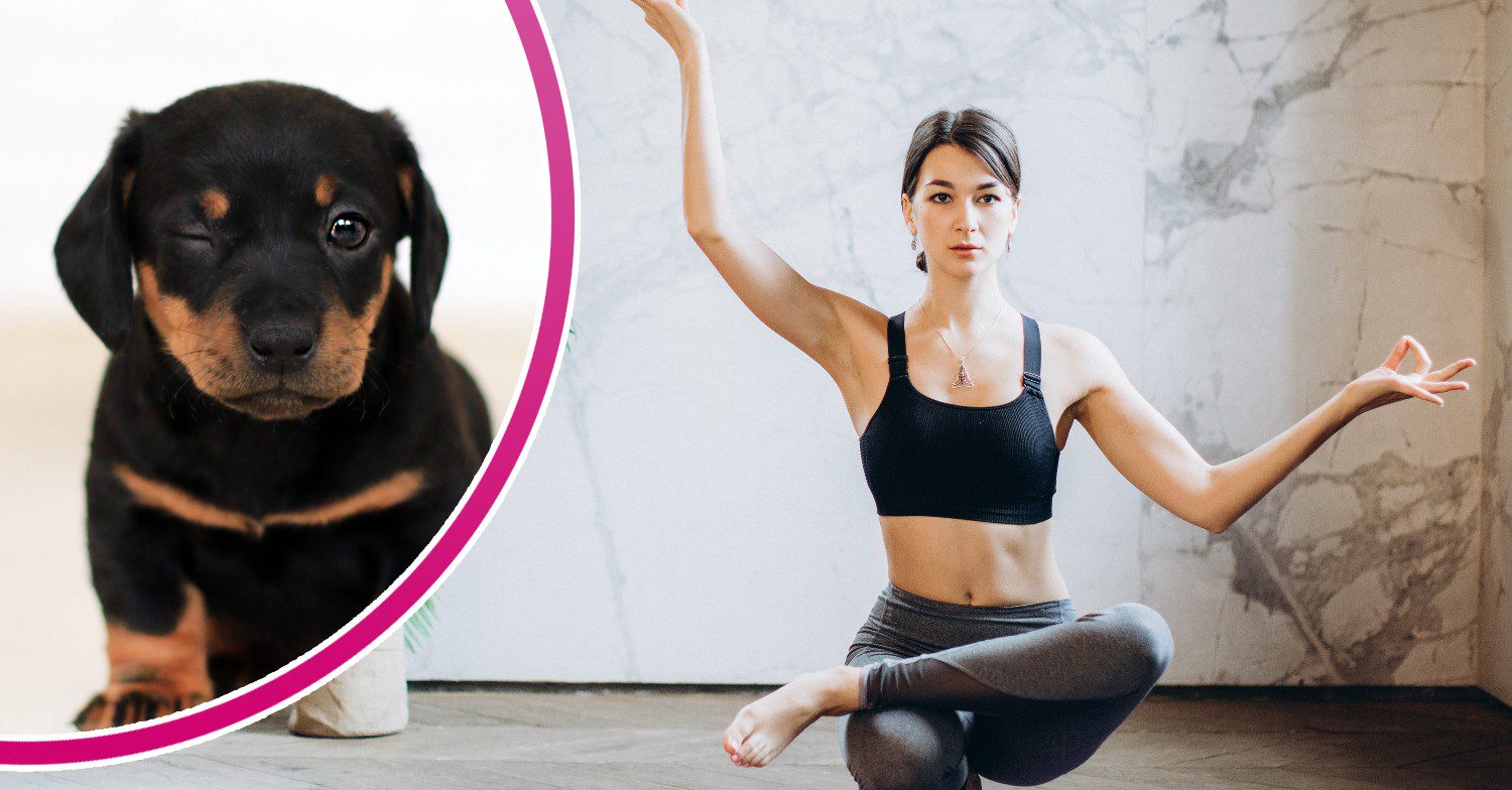 Puppy / woman doing yoga