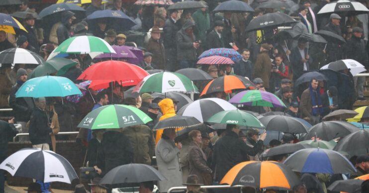 People walking in the rain with umbrellas