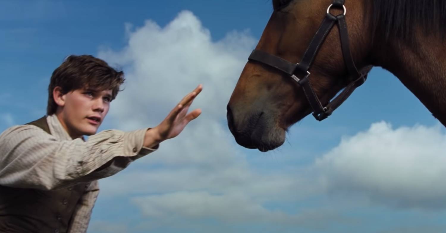 War Horse